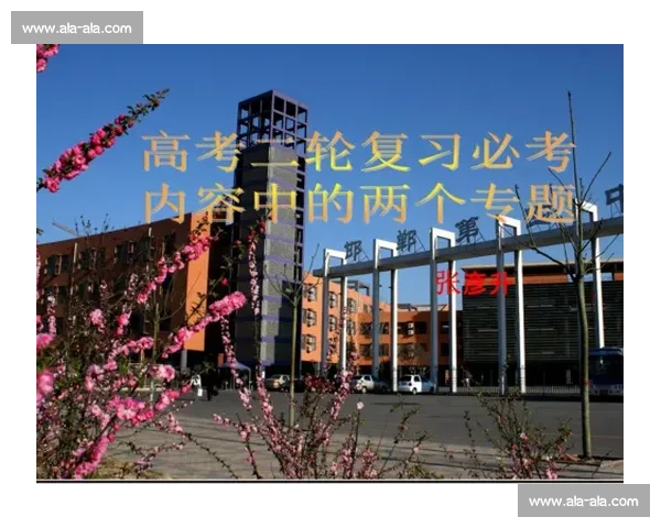 以起跳为核心探讨力量节奏与高度突破的运动科学之路系统研究方法