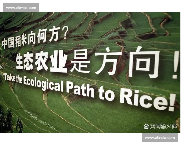 热议不断:探讨当前社会热点话题背后的深层次原因与未来发展趋势 热议不断:探讨当前社会热点话题背后的深层次原因与未来发展趋势